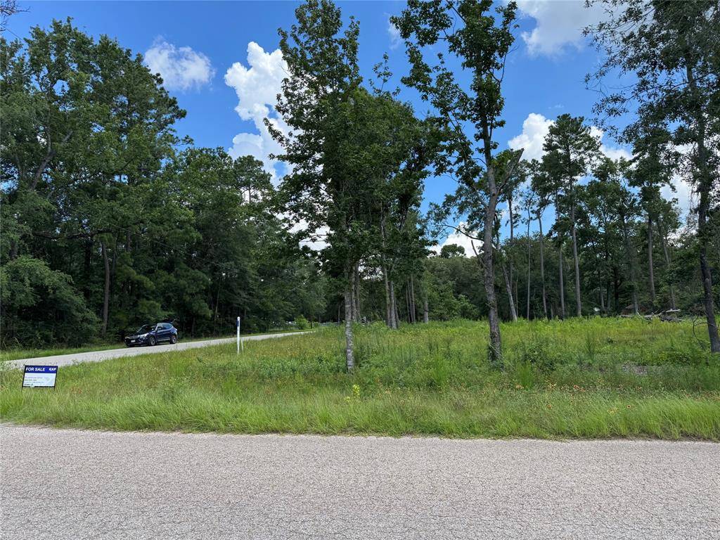 Conroe, TX 77302,11855 MAGNOLIA BEND DR