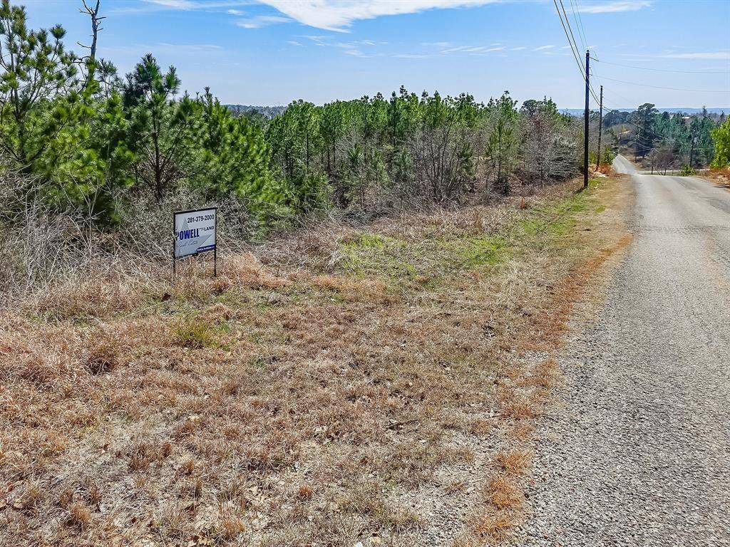 Bastrop, TX 78602,Lot 20 Tall Forest DR