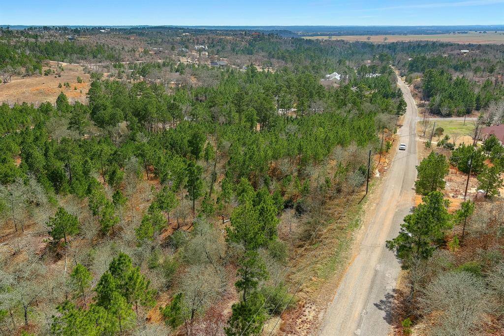 Bastrop, TX 78602,Lot 20 Tall Forest DR