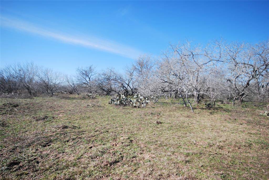 Gonzales, TX 78629,Tract 1 E Hwy 97