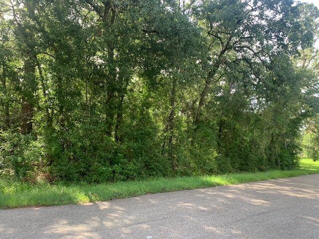 Magnolia, TX 77355,lot 4 East Lakeshore DR