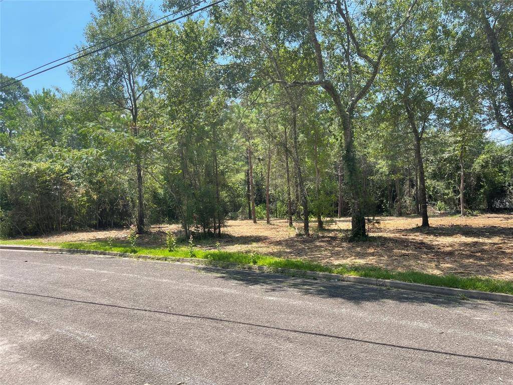 Livingston, TX 77351,Lot 12 Timberglen