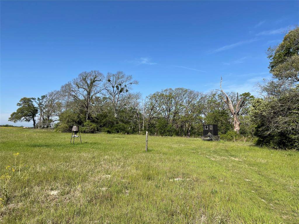 Buffalo, TX 75831,TBD Tr. 2 Hill