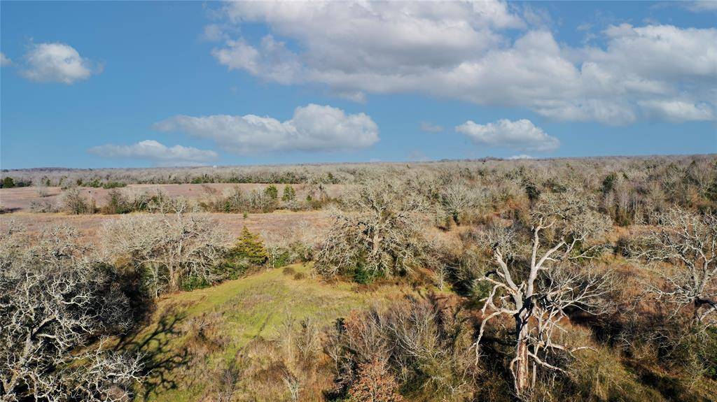 Bedias, TX 77831,Tract 3 TBD County Road 124