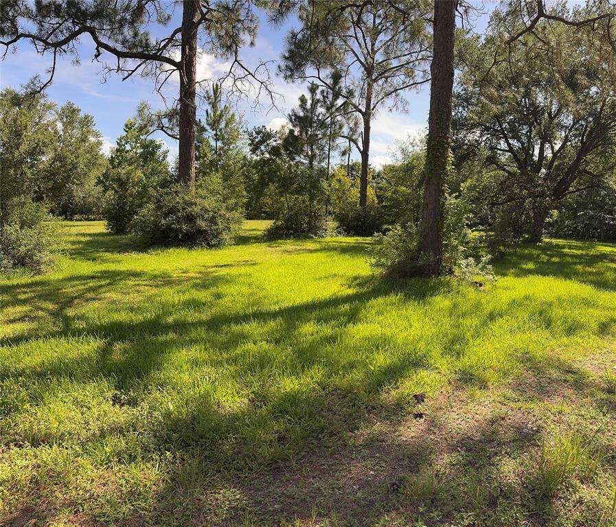 Santa Fe, TX 77517,3120 Cemetery RD