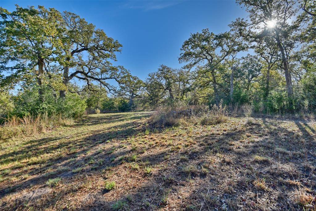 Somerville, TX 77879,261 Moss Oak DR