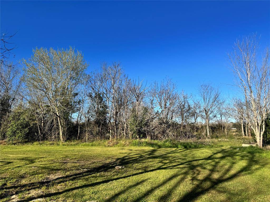 Needville, TX 77461,00 Tolbert ST