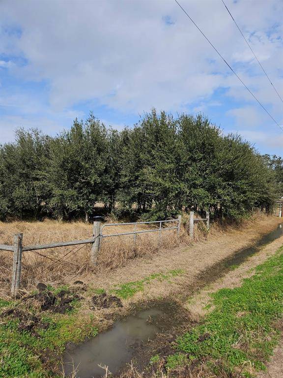 Beasley, TX 77417,0 Mcfarlane RD