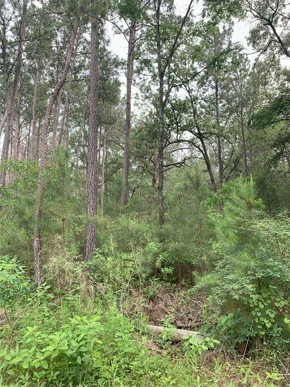 Plantersville, TX 77363,Lot 12 TBD Cherry Tree Lane LN