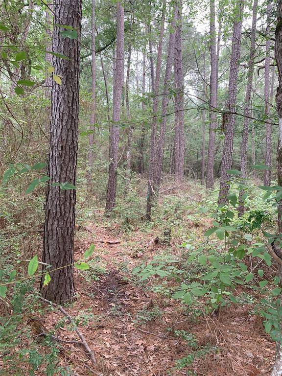 Plantersville, TX 77363,Lot 12 TBD Cherry Tree Lane LN