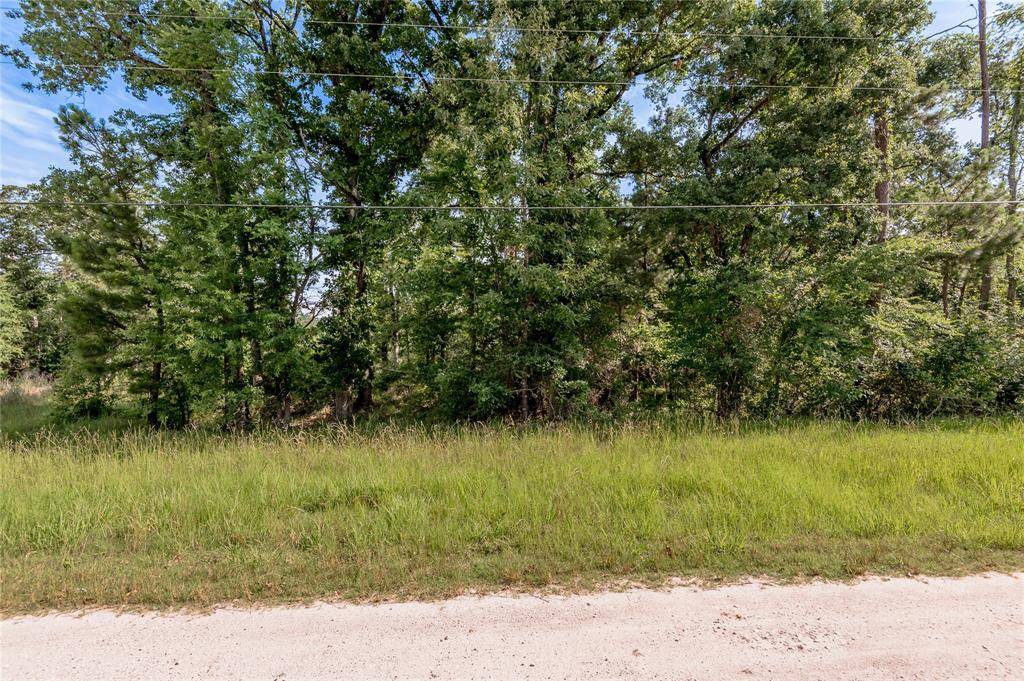 Onalaska, TX 77360,Lot 5 Ninth ST