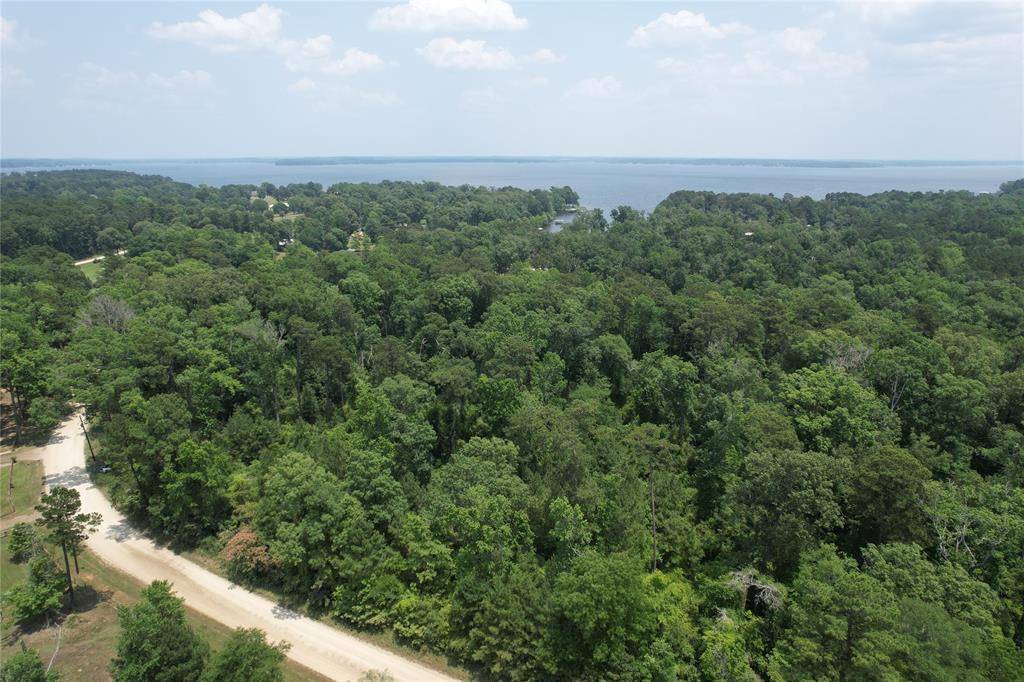 Hemphill, TX 75948,0 Tom Low DR