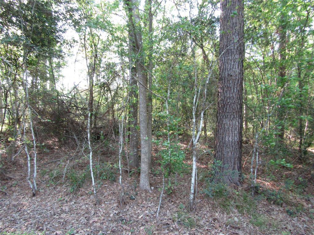 New Caney, TX 77357,Lot 25 Lilac Lane