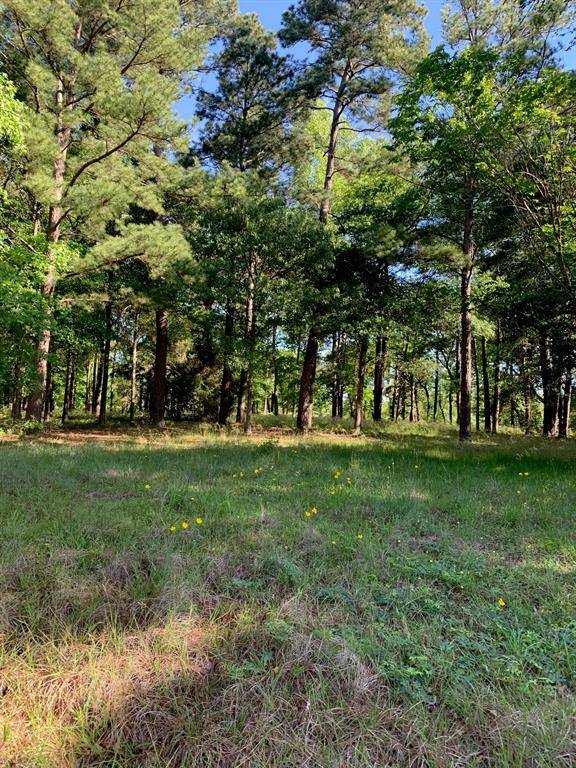 Huntsville, TX 77340,TBD Oak Creek DR