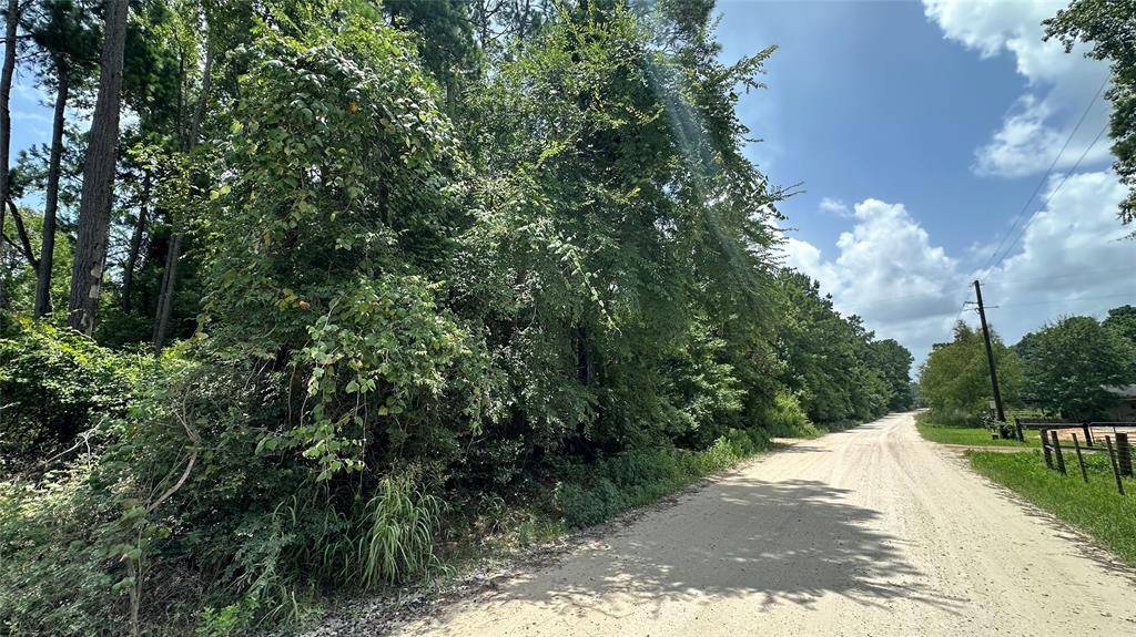 Plantersville, TX 77363,Lot 4 Live Oak DR