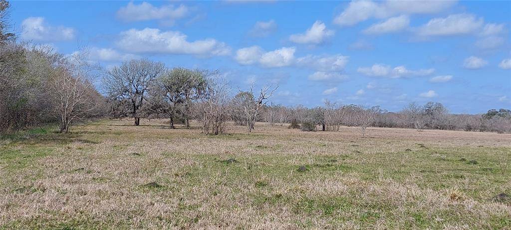 Angleton, TX 77515,0 County Road 30 Nar