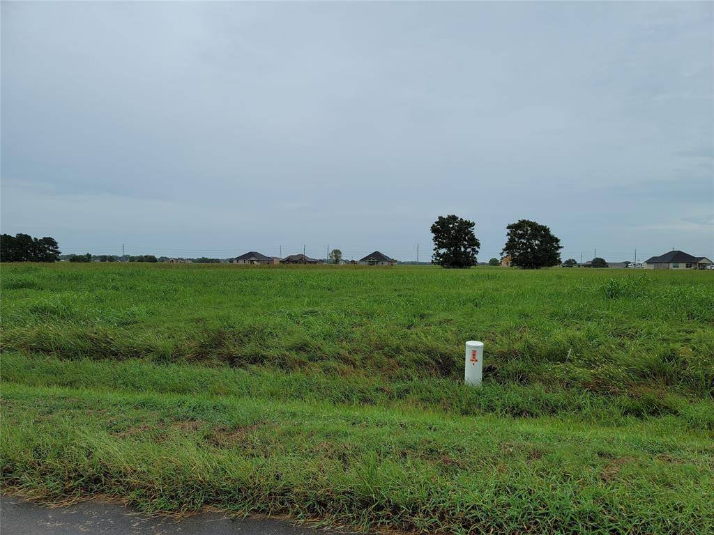 Angleton, TX 77515,500 Quarter Horse TRL