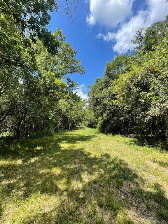 Holiday Lakes, TX 77515,0 Eskimo Lane