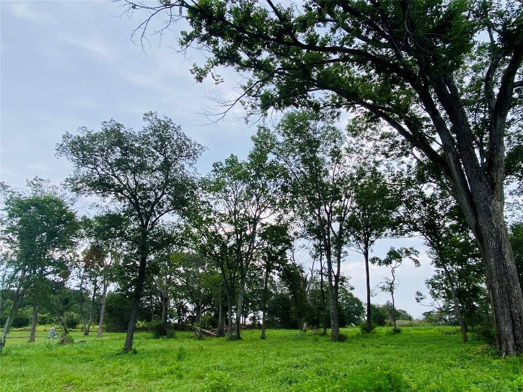 Bellville, TX 77418,3878 Eli RD