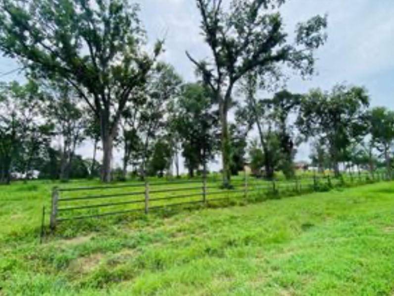 Bellville, TX 77418,3878 Eli RD