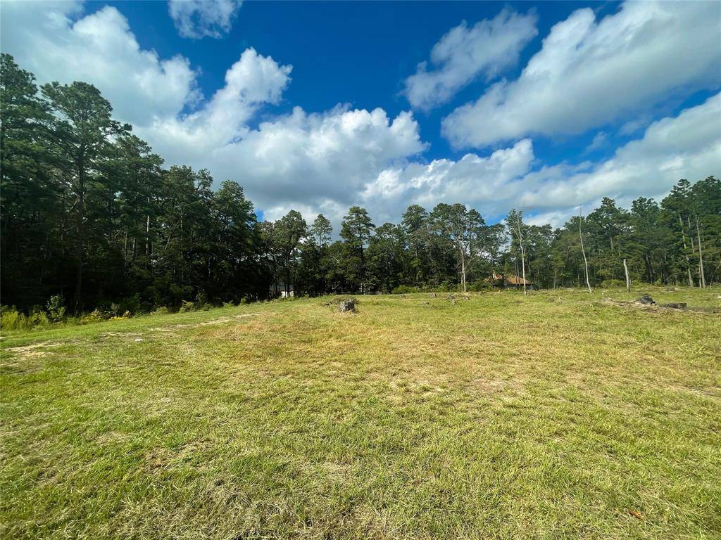 Roman Forest, TX 77357,0 Appian Way