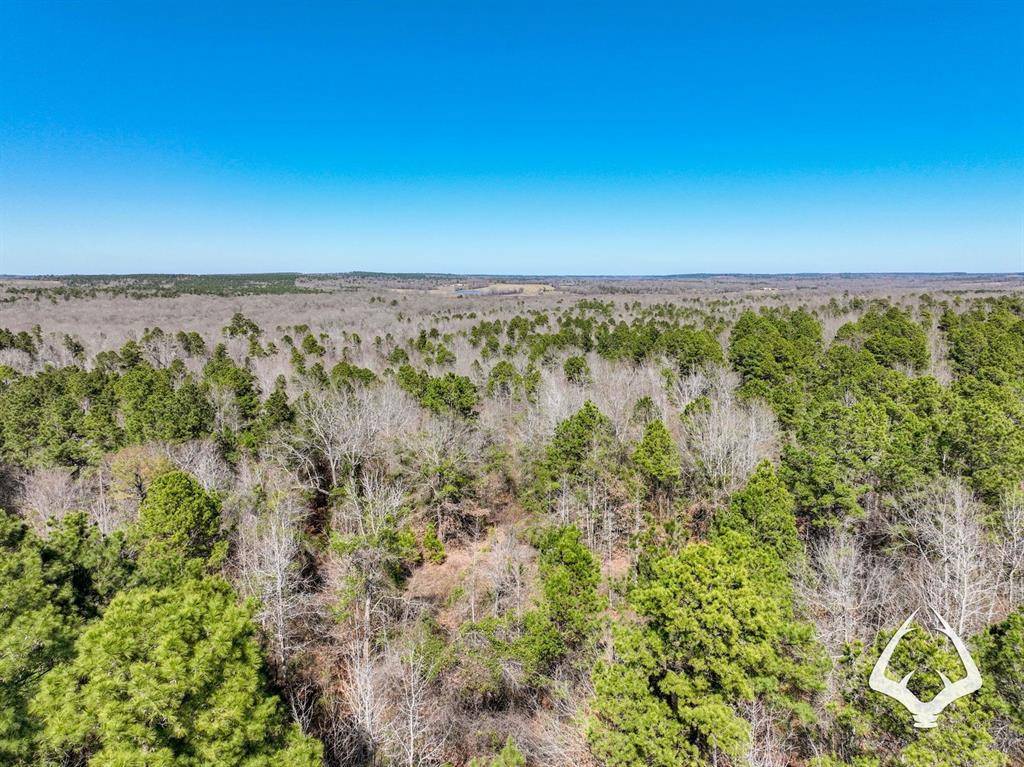Laneville, TX 75667,TBD County Road 435 D