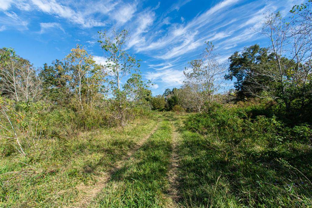 Jones Creek, TX 77541,TBD Hwy 36