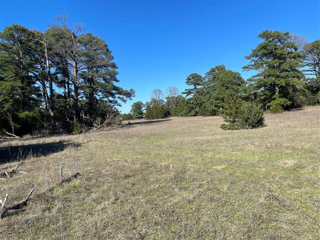 Smithville, TX 78957,000 Split Oak RD