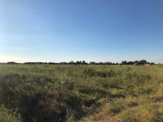 Louise, TX 77455,3046 County Road 356