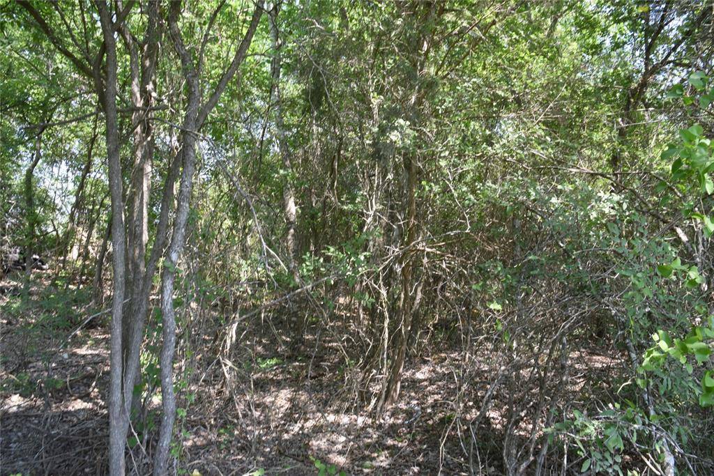 Burton, TX 77835,TBD Sandstone RD