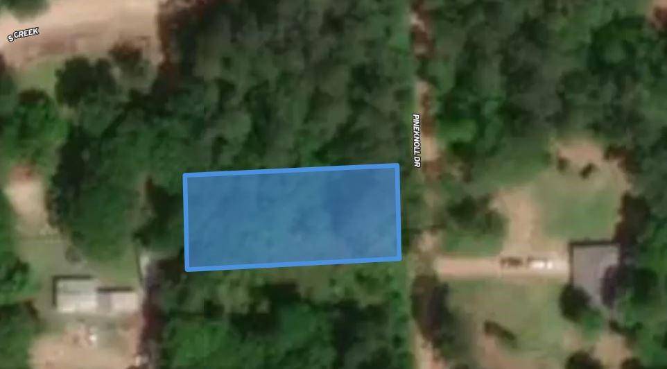 Plantersville, TX 77363,0 Pineknoll DR