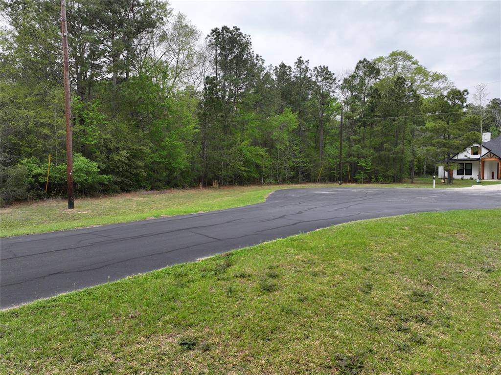 Waller, TX 77484,17528 Plantation Dr