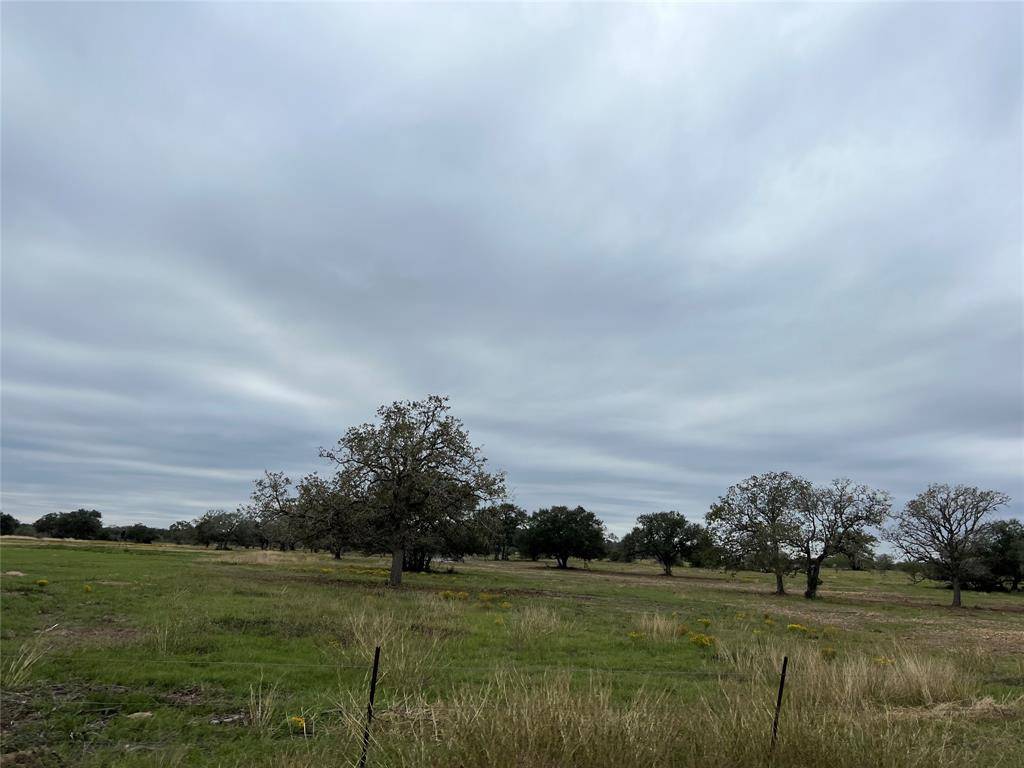 Cuero, TX 77954,0000 Cattle Guard RD