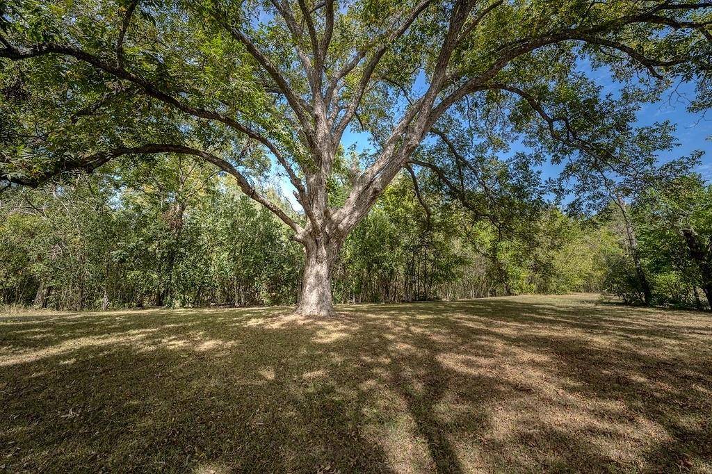 Round Top, TX 78954,435 N Washington ST