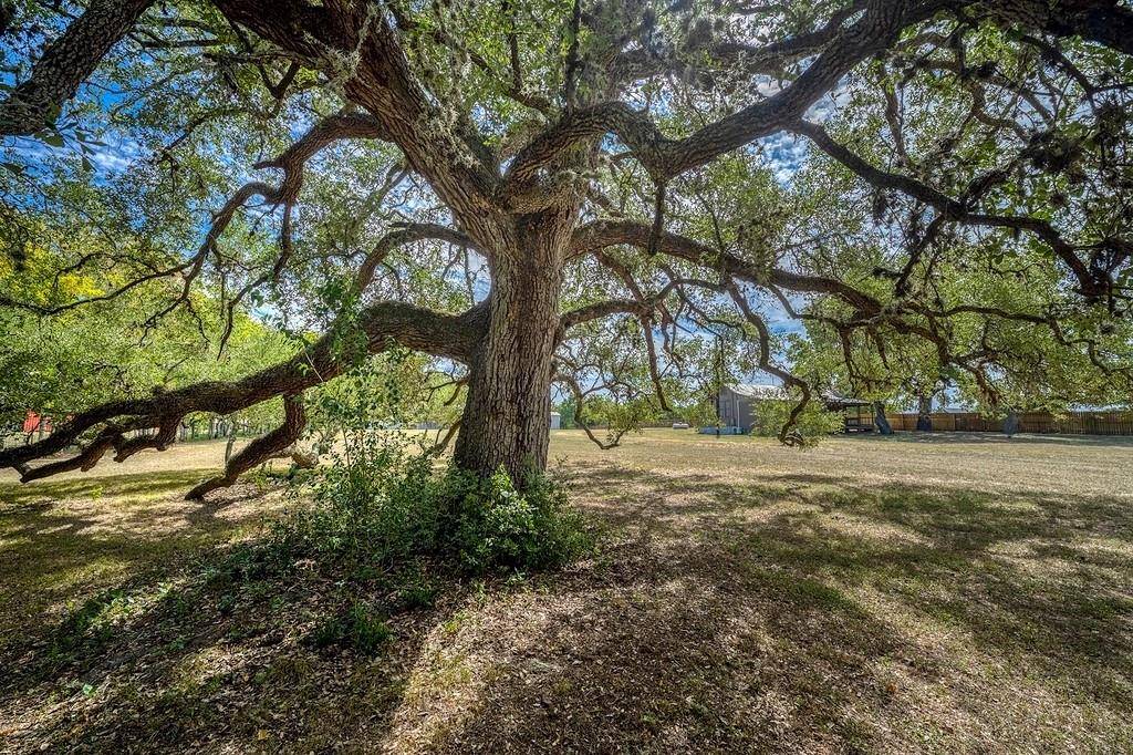 Round Top, TX 78954,435 N Washington ST