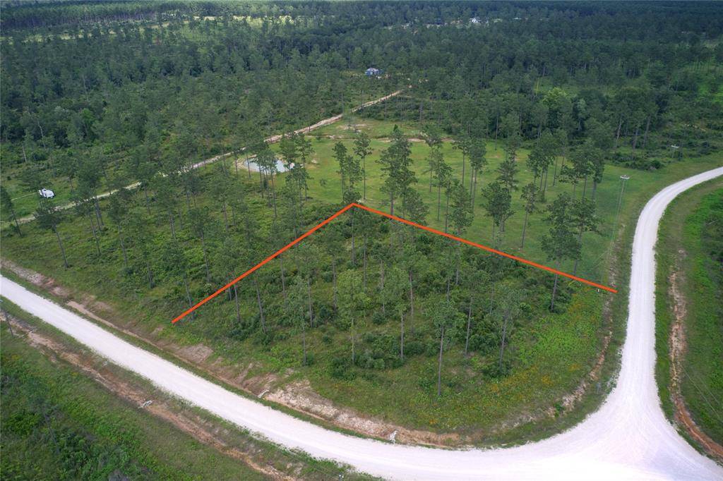 Livingston, TX 77351,TBD Reveille Road