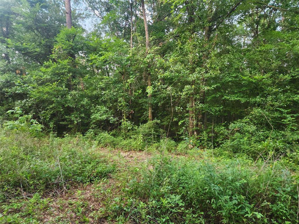 Plantersville, TX 77363,Lot 2 Hollybrook DR