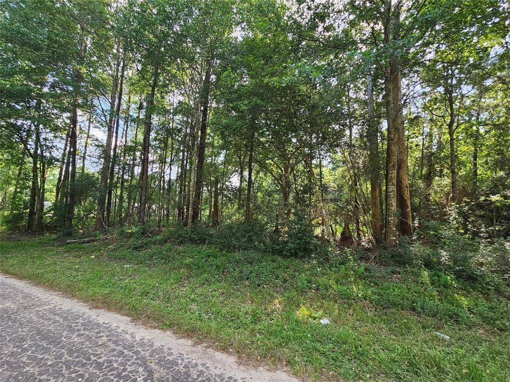 Silsbee, TX 77656,185 Sessums RD