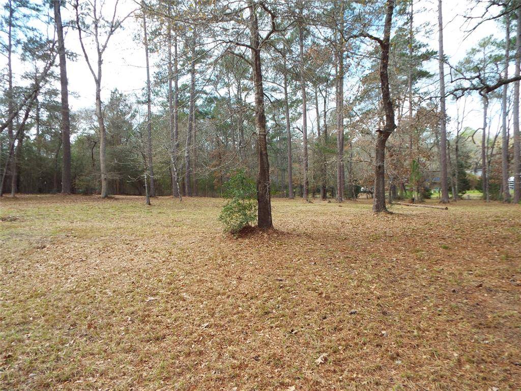 Plantersville, TX 77363,Lot 21 & 22 Emery CT