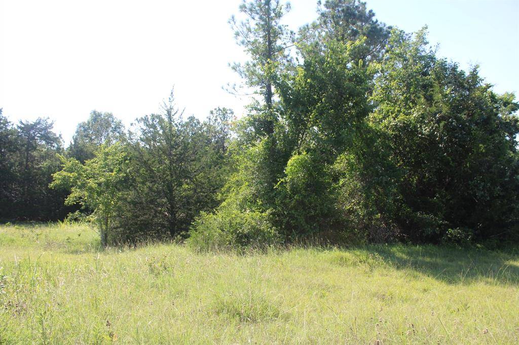 Coldspring, TX 77331,TBD Ridgeview DR