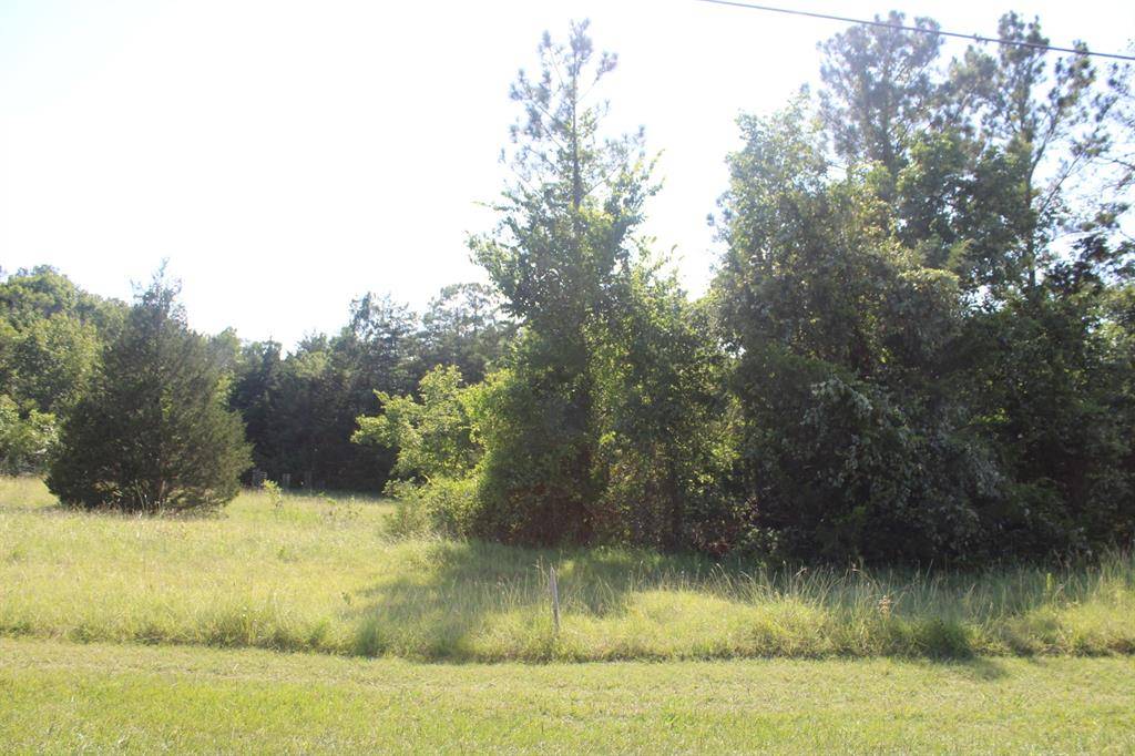 Coldspring, TX 77331,TBD Ridgeview DR