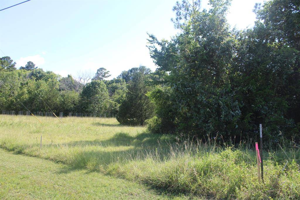 Coldspring, TX 77331,TBD Ridgeview DR