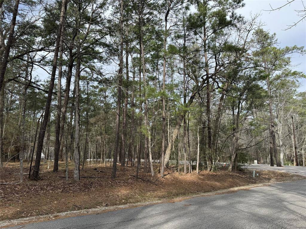 Coldspring, TX 77331,91 S Fairway LOOP