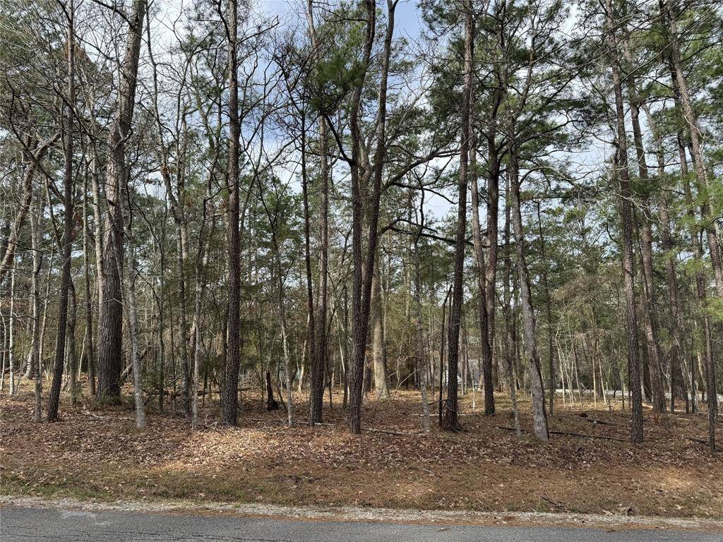 Coldspring, TX 77331,91 S Fairway LOOP