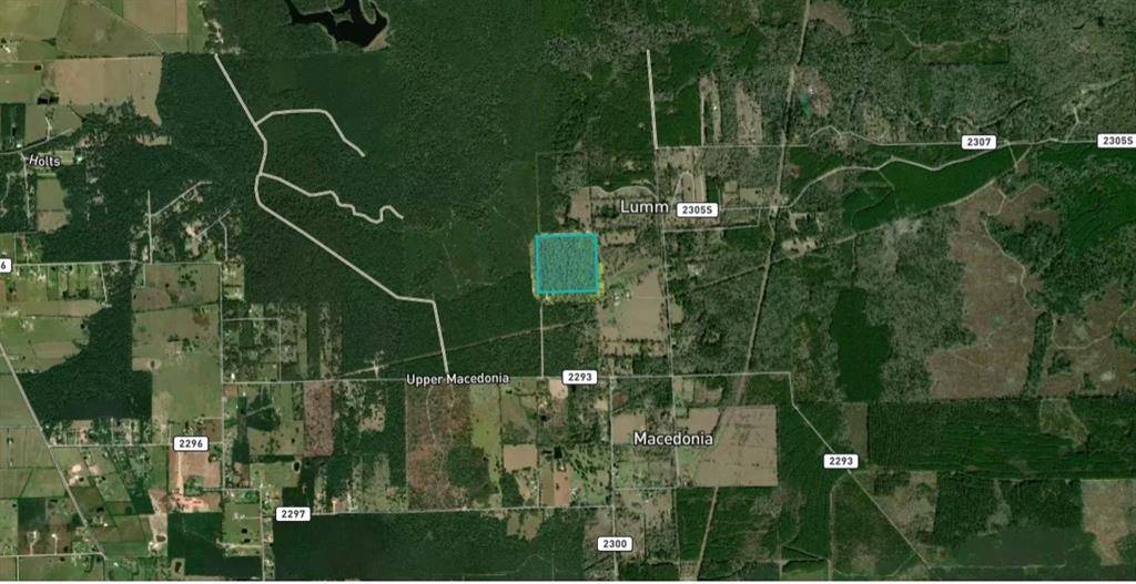 Cleveland, TX 77327,344 County Road 2294