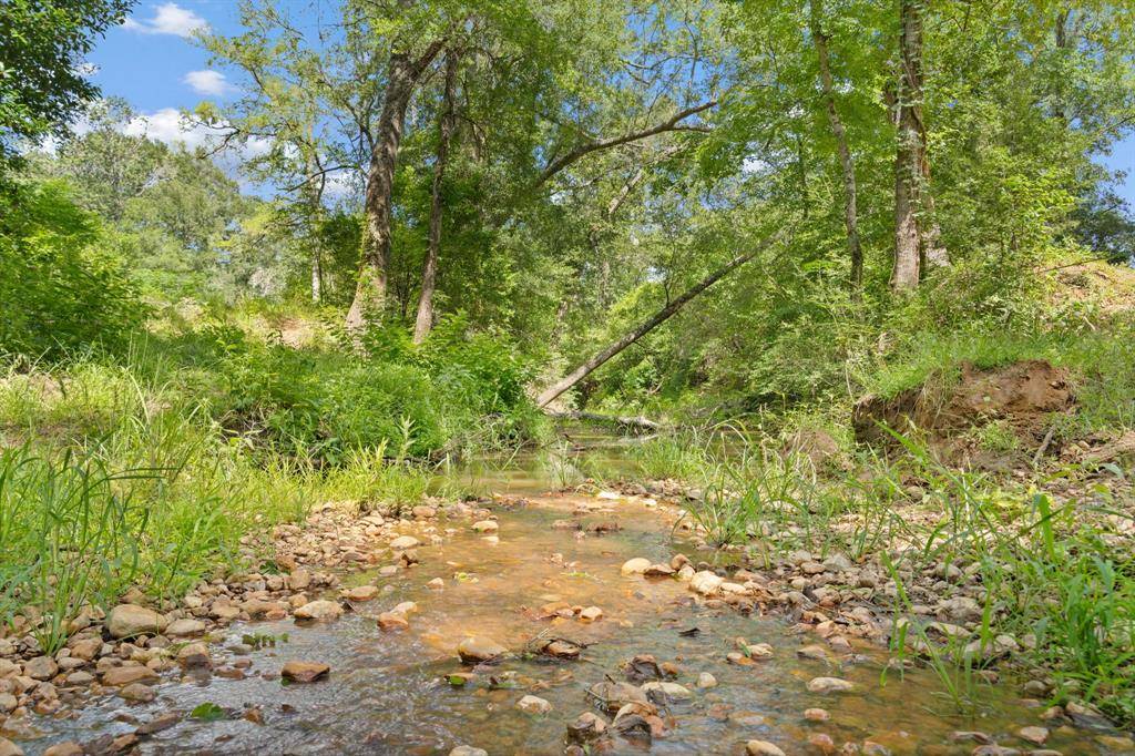 Paige, TX 78659,TBD (Tracts 11 & 12) St Delight RD