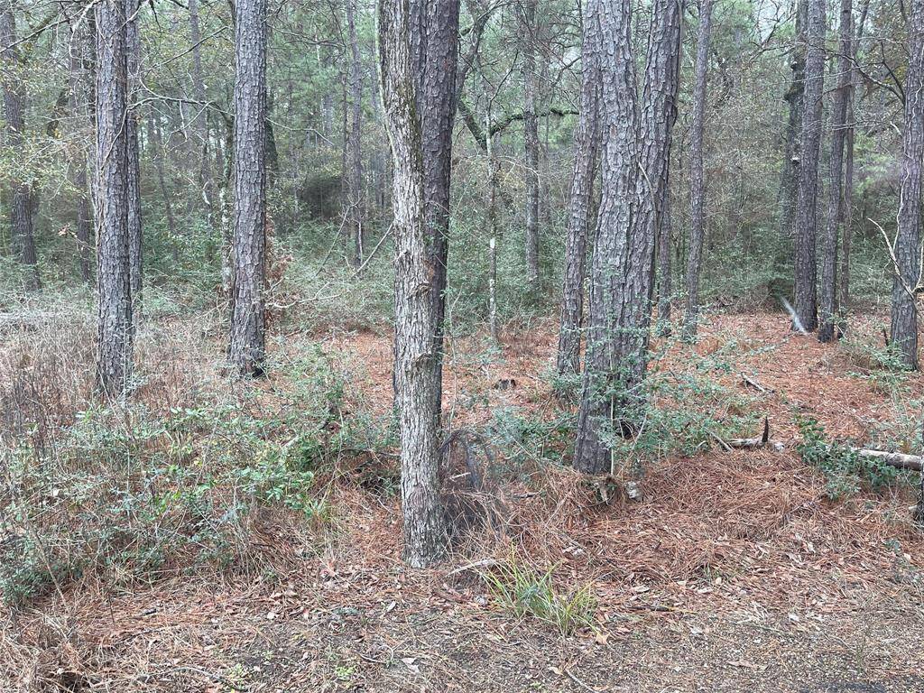 Plantersville, TX 77363,lot 19 Hackberry DR