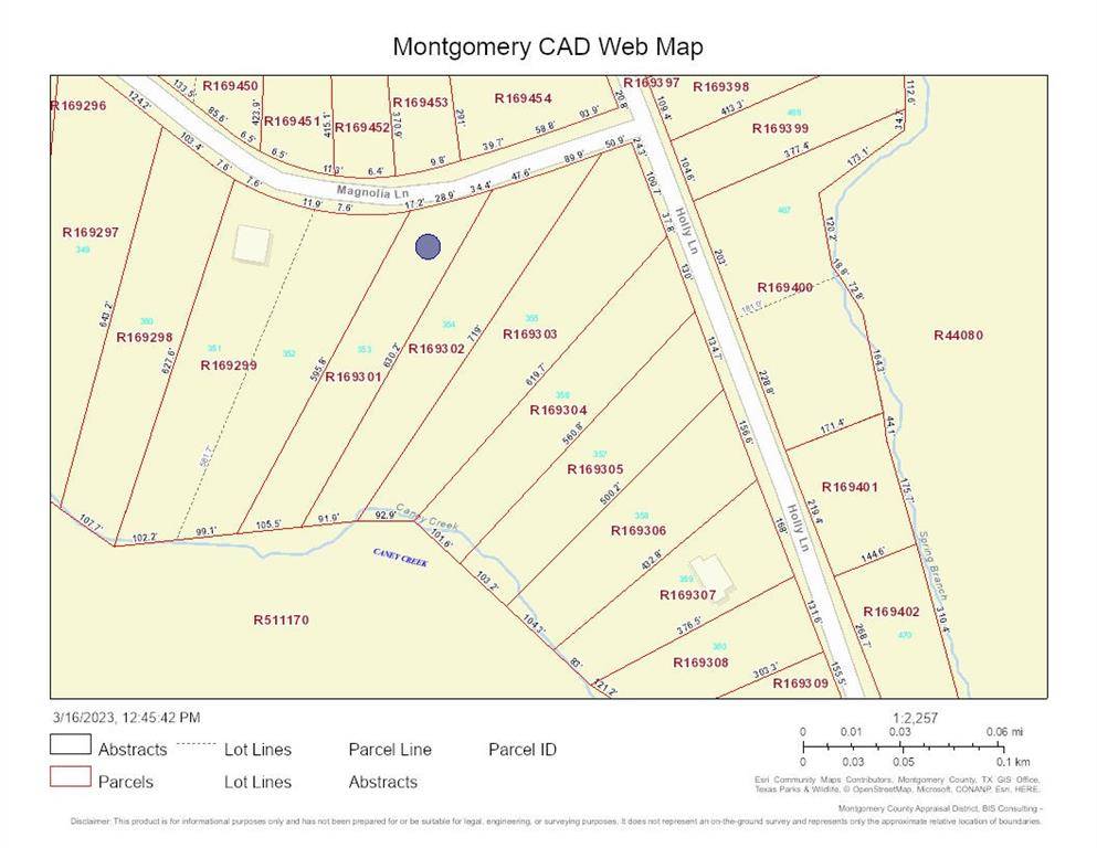 New Caney, TX 77357,Lot 353 Magnolia Lane