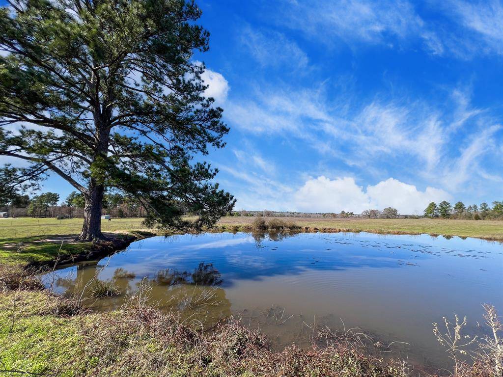 Richards, TX 77873,TBD County Rd 216