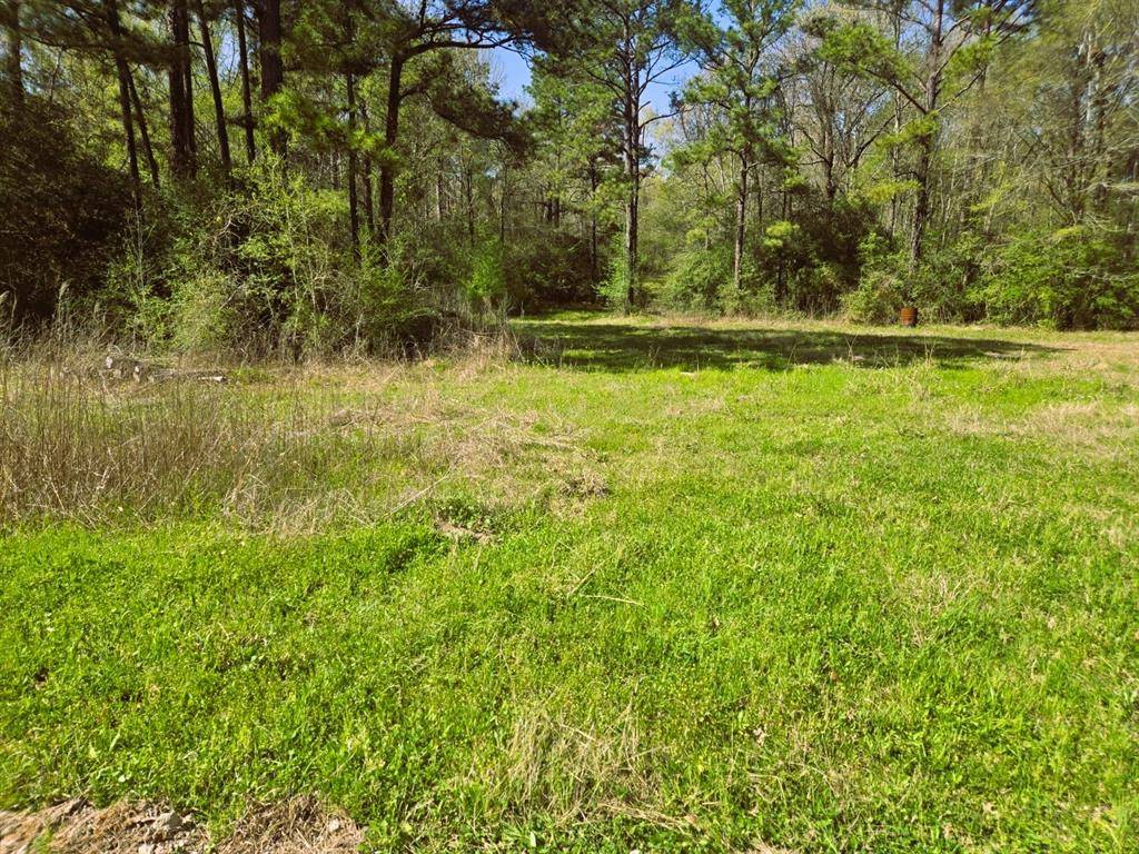 Trinity, TX 75862,278 Reggie LN